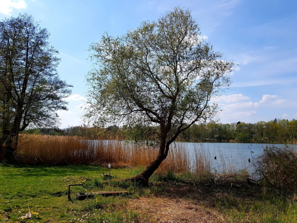 66-Seen-Wanderweg an der Quelle des Kleinen Stienitzsee