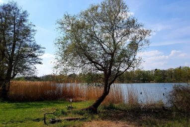 66-Seen-Wanderweg an der Quelle des Kleinen Stienitzsee