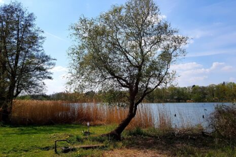 66-Seen-Wanderweg an der Quelle des Kleinen Stienitzsee