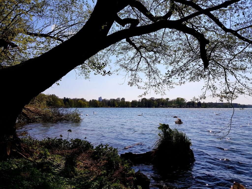 Großer Stienitzsee