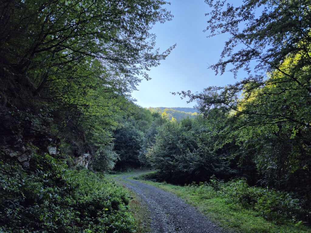 Făgăraș-Durchquerung: Făgăraș-Blick hinter Turnu Roșu