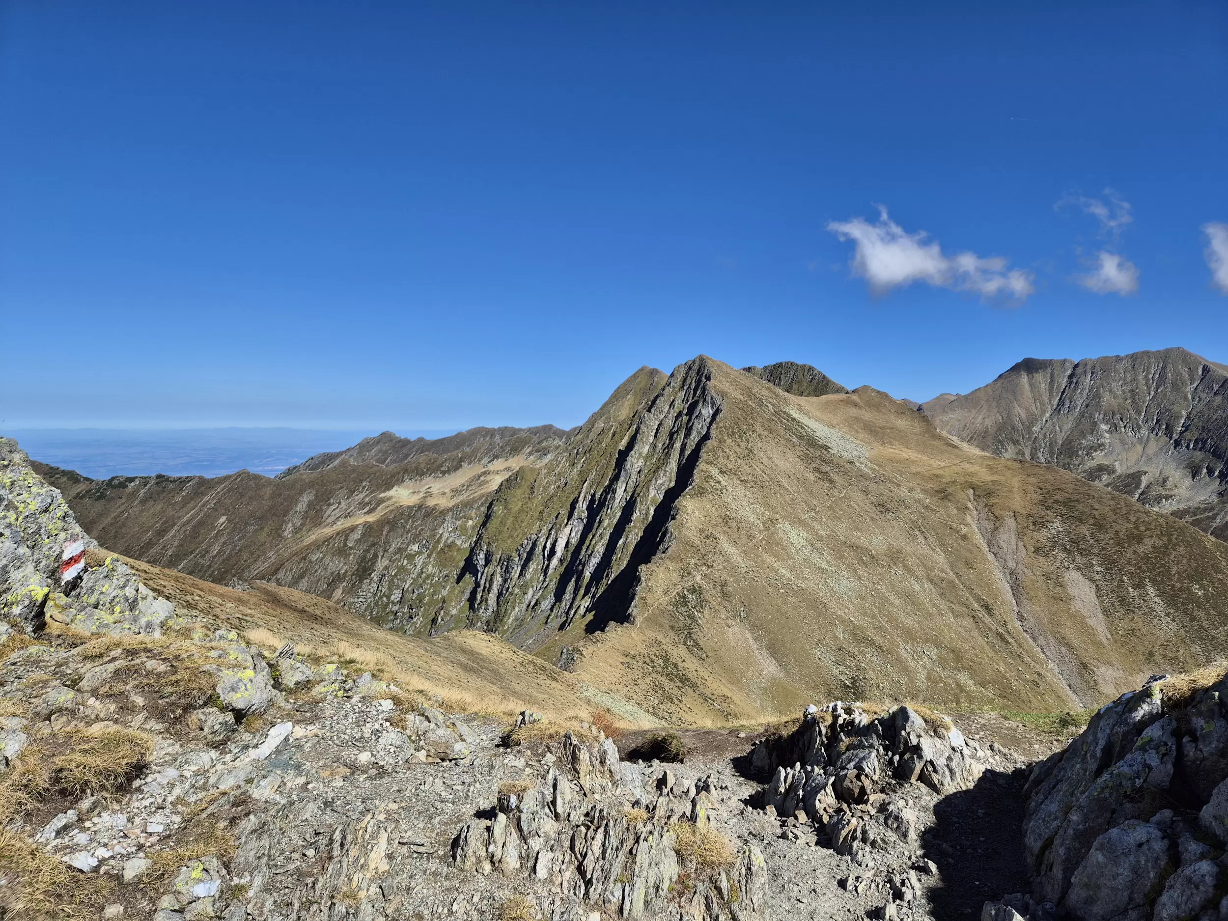 Făgăraș-Durchquerung Făgăraș-Durchquerung: Blick vom Podu-Giurgiului-Pass bis hinüber zum Viștea Mare