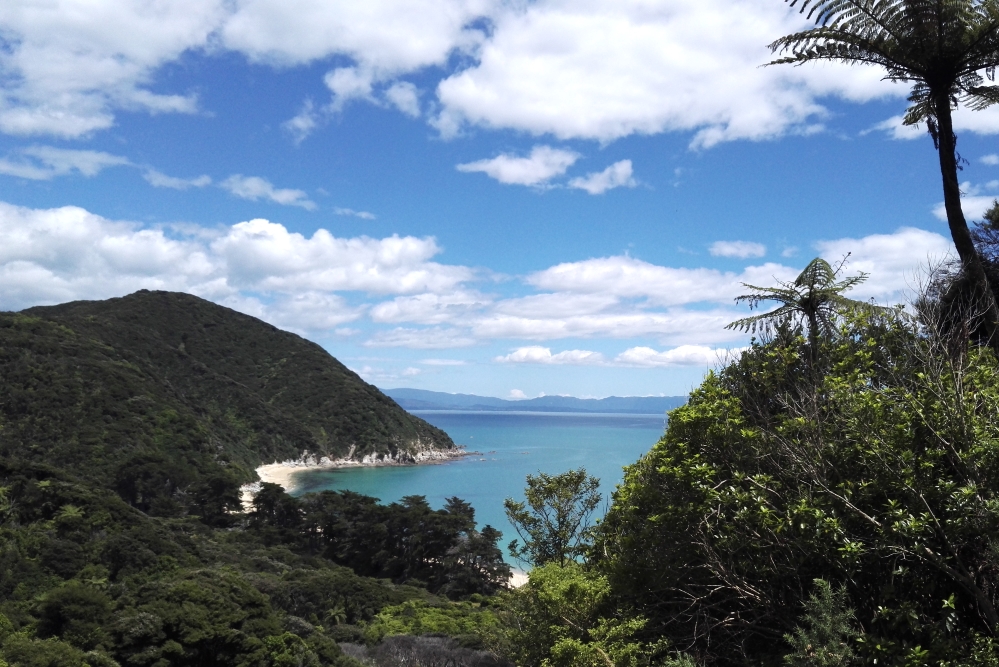 Anatakapau Bay, Abel Tasman Coast Track