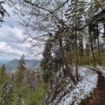 Auf dem Albsteig HW1 kurz vor dem Hirschkopf