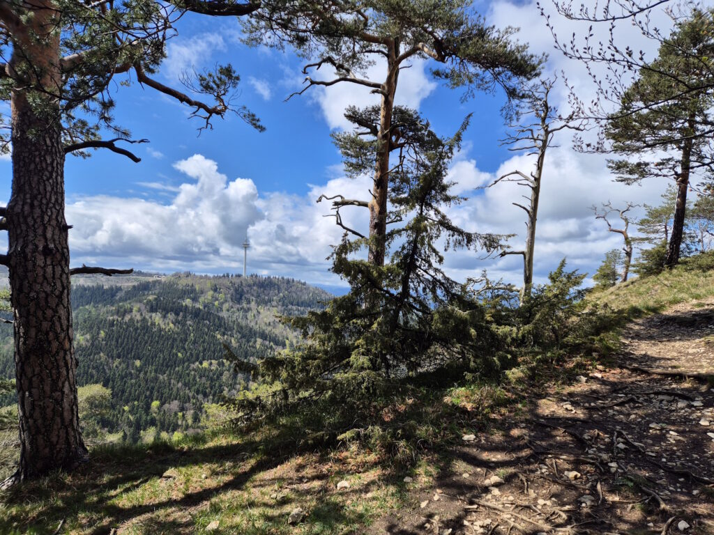 Albsteig HW1 Teil 1: Blick zurück zum Plettenbergturm