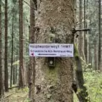 Albsteig HW1 Vorbereitung Alle Tipps der Gipfelwelt für die optimale Albsteig HW1 Vorbereitung
