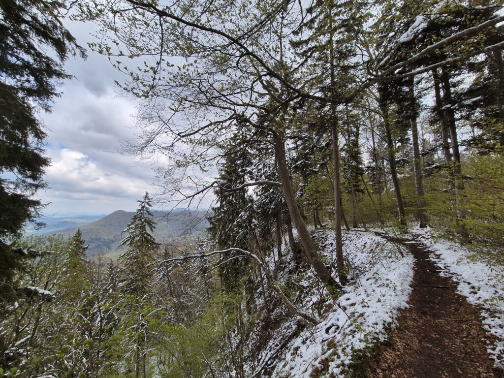 Albsteig HW1 Vorbereitung: Der Weg führt häufig aussichtsreich direkt oben am Albtrauf entlang