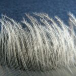 Bauschkraft Die Bauschkraft der Gänsedaune wird in cuin gemessen