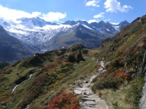 Großer Möseler, Zillertaler Alpen