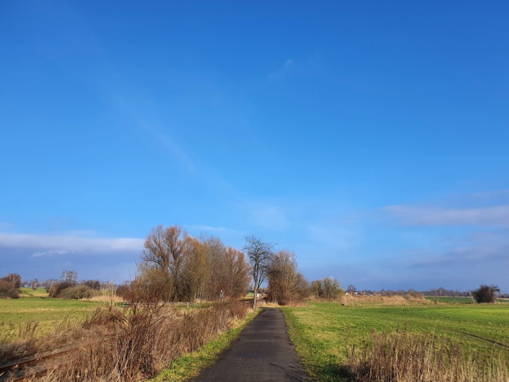 Berliner Nordwesten Radtour: Naturpark Barnim hinter dem Märkischen Viertel