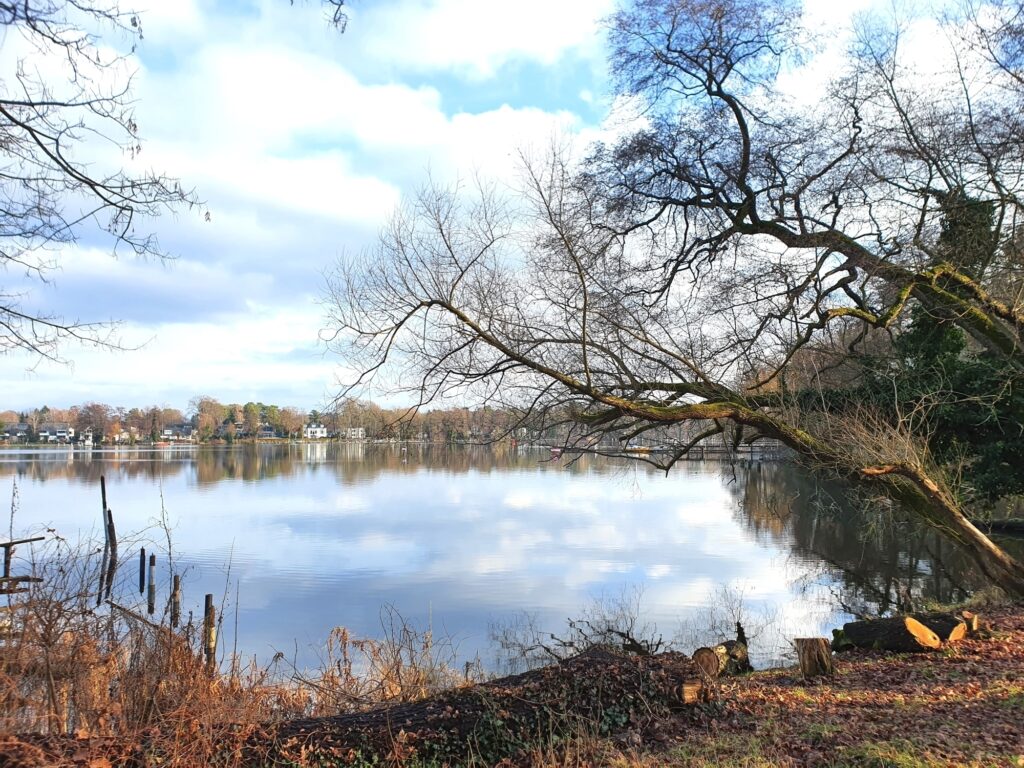 Havelufer nördlich von Spandau