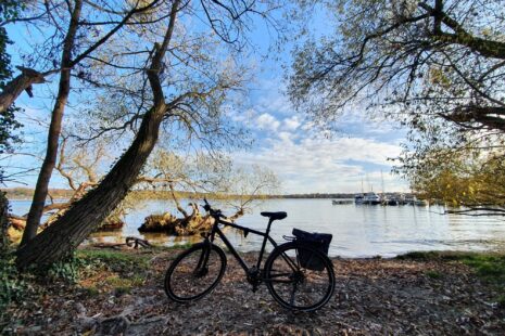 Berliner Pracht am Großen Wannsee