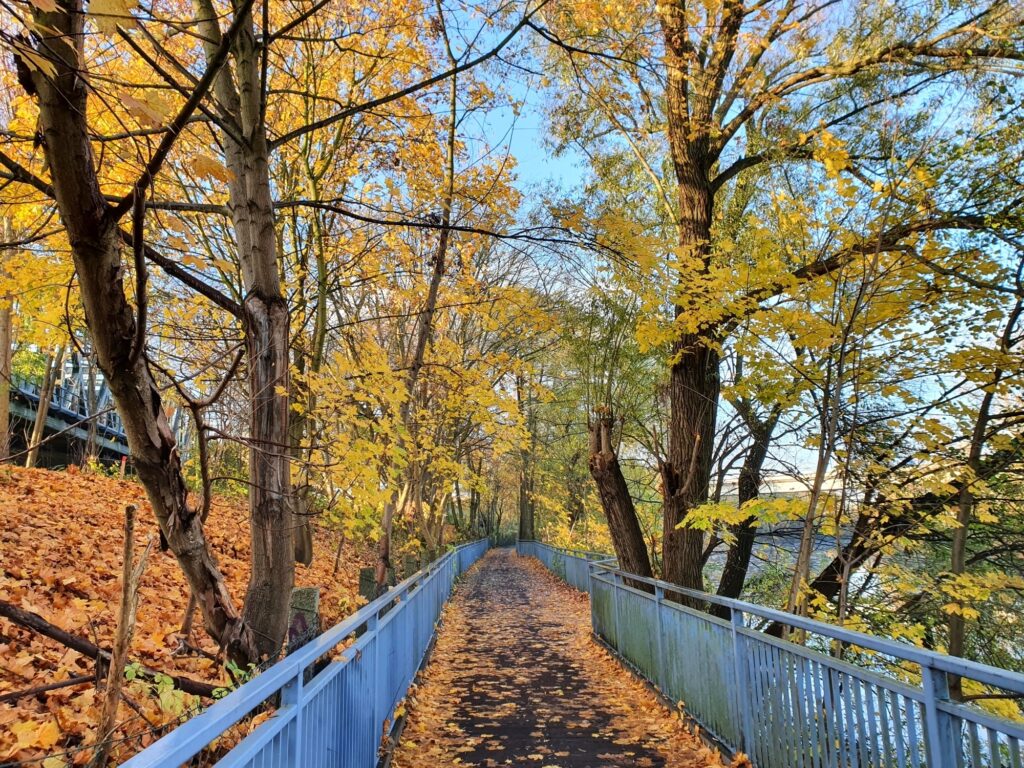 Wegbrücke am Spreeufer hinter dem Schloss Charlottenburg