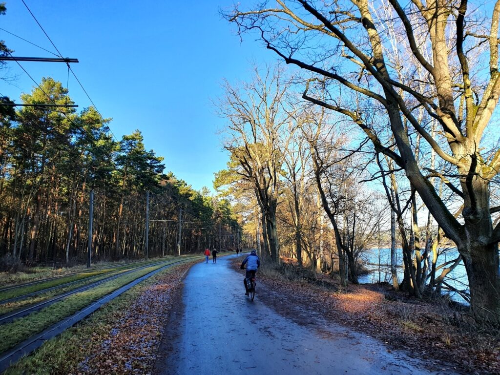 Auf dem Dahmeradweg am Langen See bei meiner Berliner Südosten Radtour am Wasser