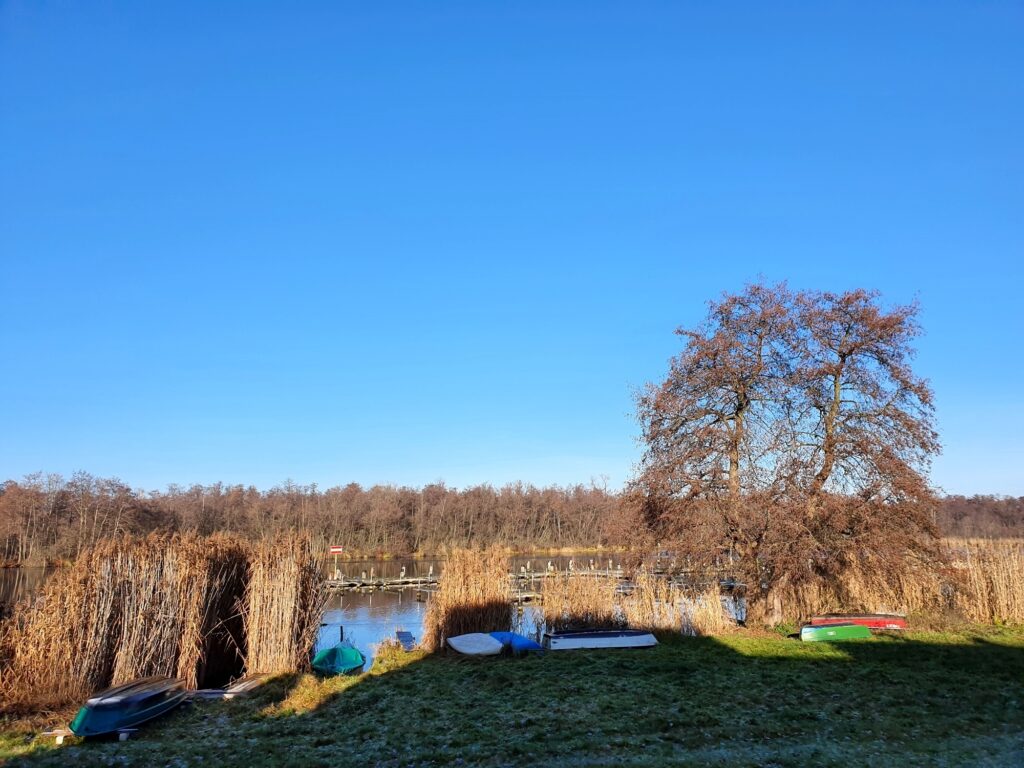 Toller Rastplatz am Seddinsee bei meiner Berliner Südosten Radtour am Wasser