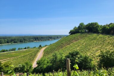Bloggerwandern Rheinland-Pfalz 2023: Unterwegs auf dem Rheinterrassenweg