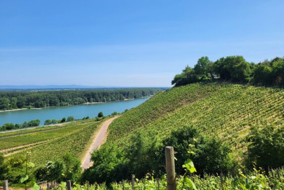 Bloggerwandern Rheinland-Pfalz 2023: Unterwegs auf dem Rheinterrassenweg
