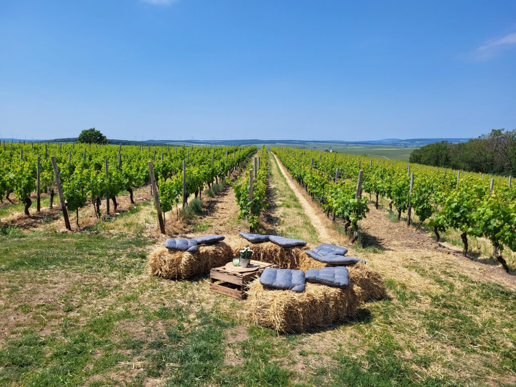 Bloggerwandern Rheinland-Pfalz 2023: Rast am Flonheimer Weinbergshäuschen