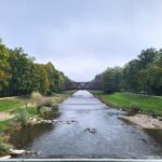 Böschungen der Wiese bei Basel