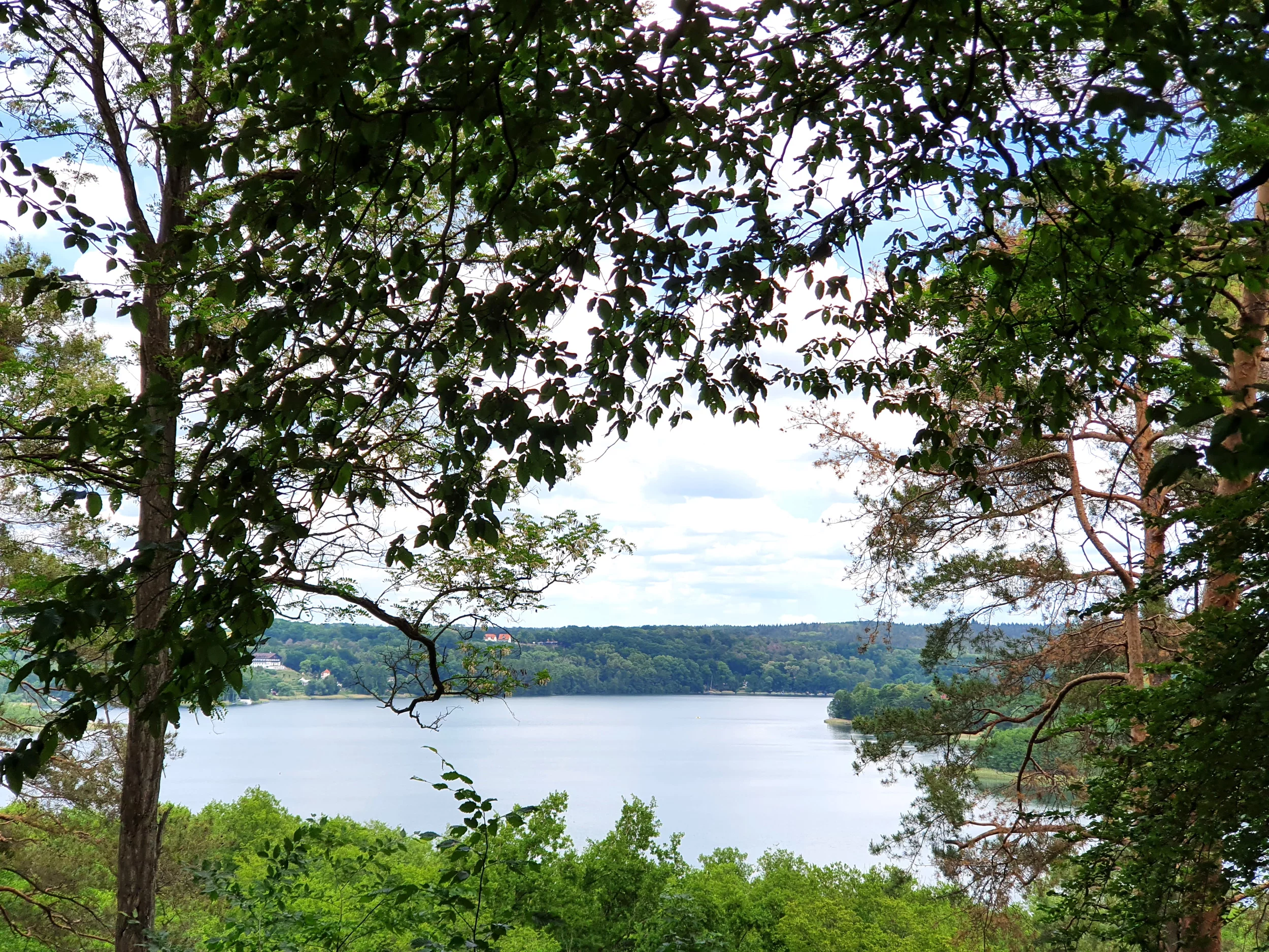 Schermützelsee, Märkische Schweiz: Einer der schönsten Orte, um in Brandenburg wandern zu gehen