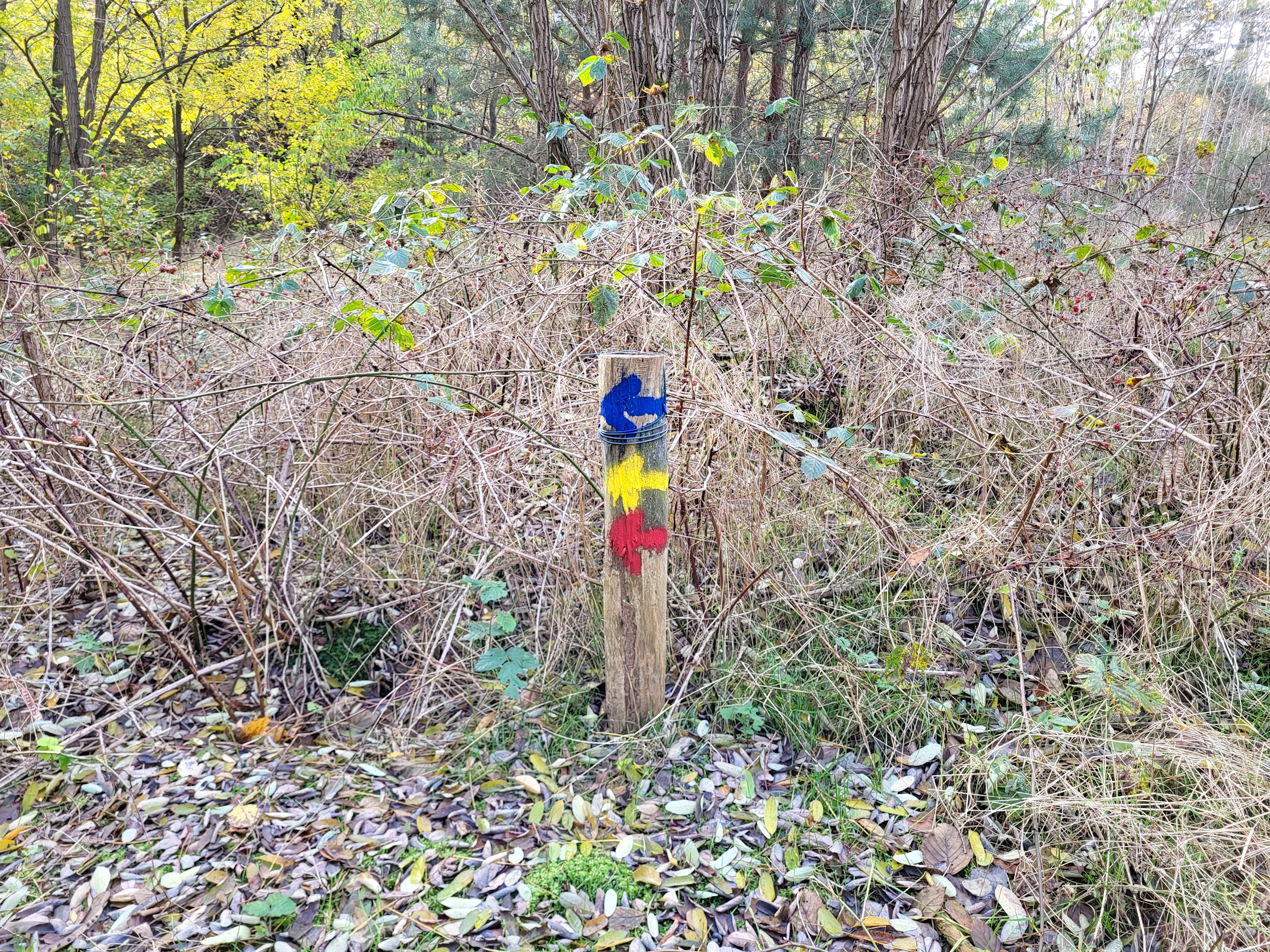 Döberitzer-Heide-Wanderung: Der Weg ist mit roten Pfeilen sehr gut markiert