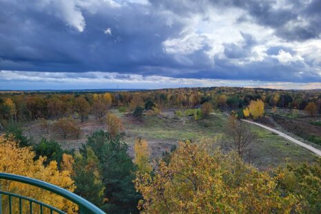 Döberitzer-Heide-Wanderung: Blick vom Aussichtsturm Finkenberg Richtung Potsdam