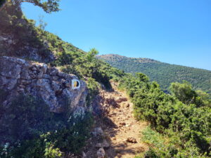 Auf dem Abschnitt des Fernwanderwegs E4 Peloponnes kannst du die griechische Halbinsel zu Fuß entdecken