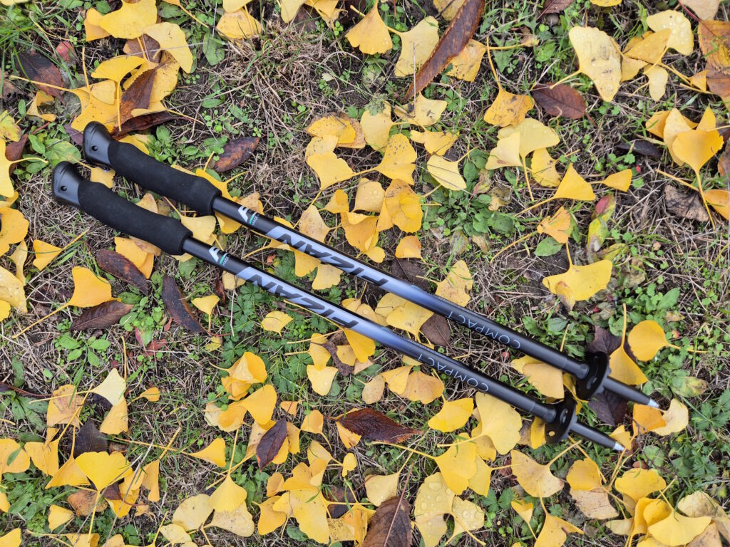 Fizan Compact Trekking Poles im Test