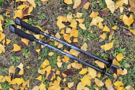 Fizan Compact Trekking Poles im Test