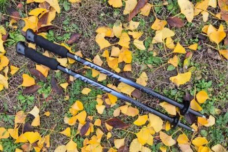 Fizan Compact Trekking Poles im Test