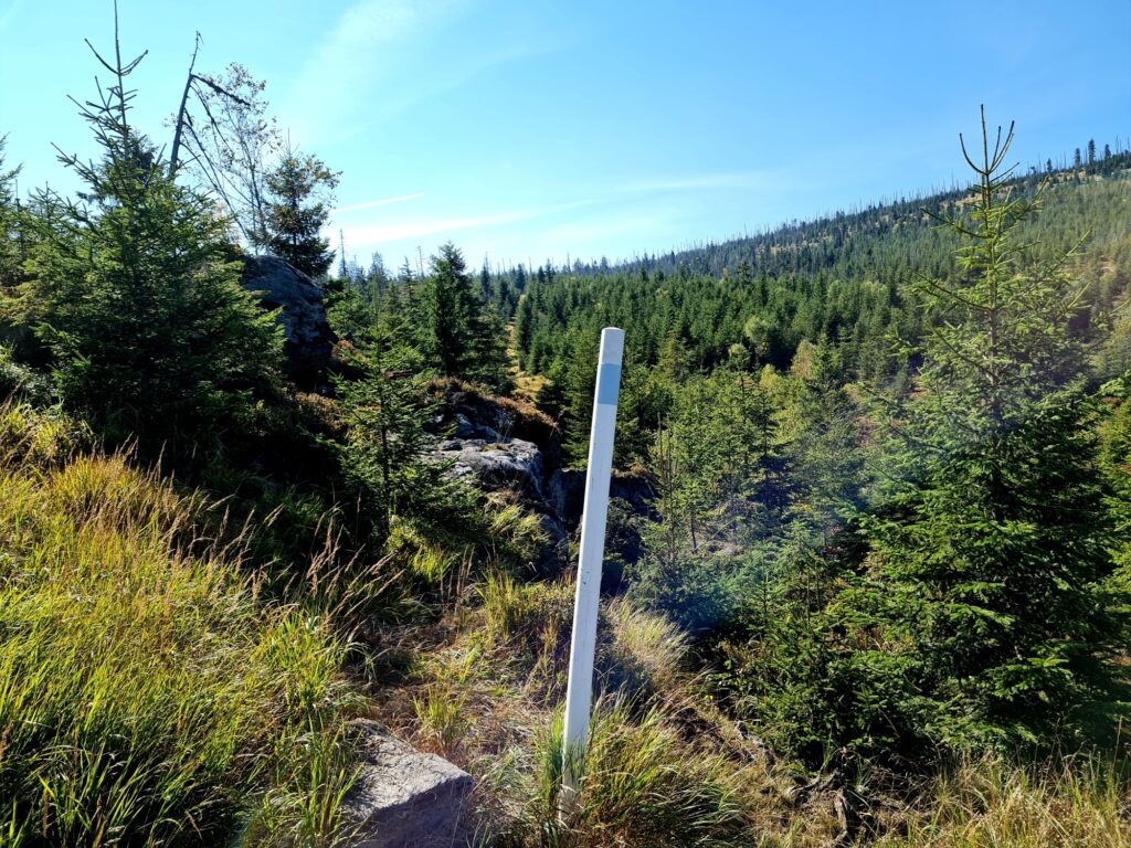 Gipfelrundtour Bayerischer Wald: Wildnis auf dem Grenzsteig