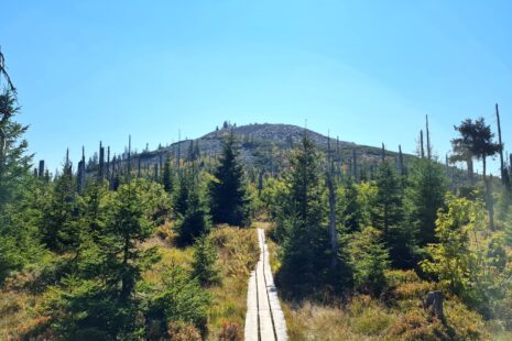 Gipfelrundtour Bayerischer Wald: Lusen