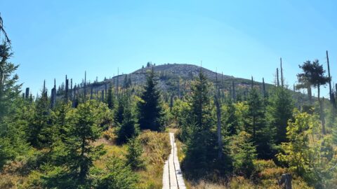 Gipfelrundtour Bayerischer Wald: Lusen
