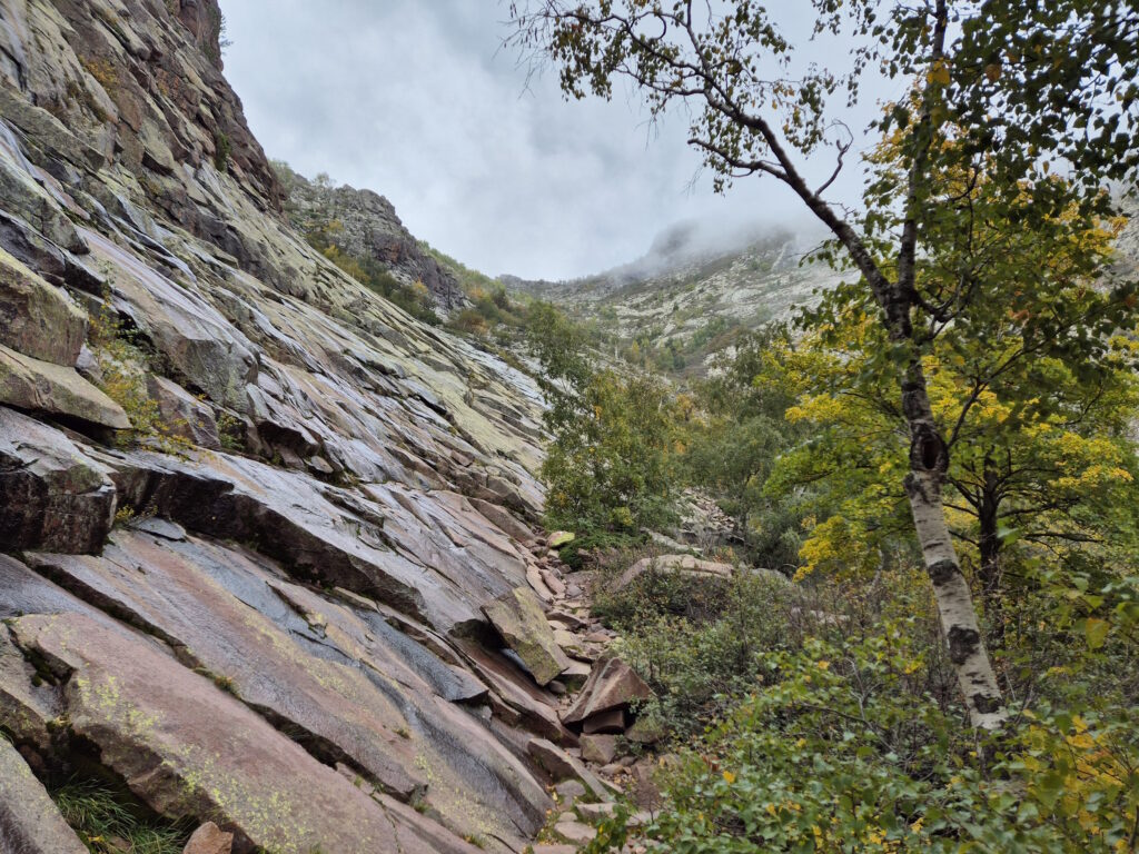 GR 20 Nordteil: Aufstieg unterhalb Punta Pisciaghia