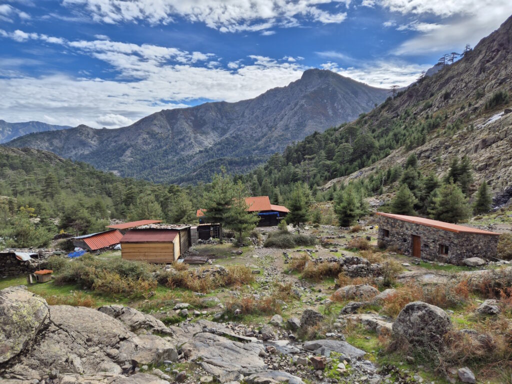 GR 20 Nordteil: Bergerie de Ballone