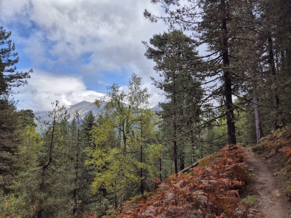 GR 20 Nordteil: Crête de Scupertu