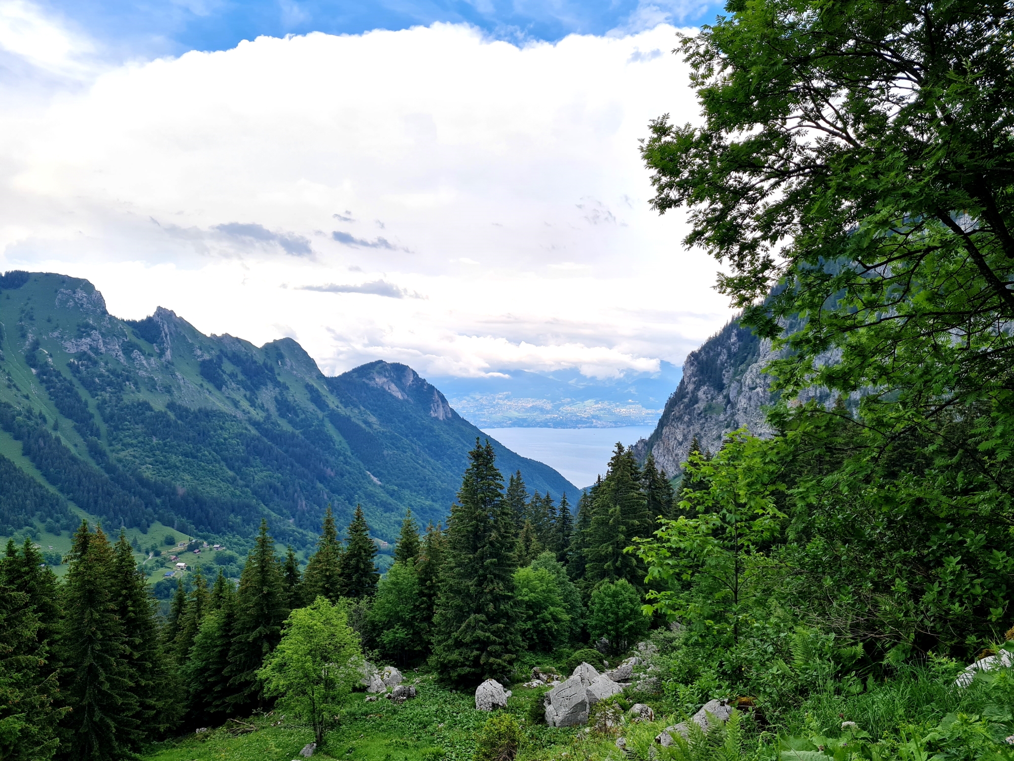 Grande Traversée des Alpes Teil 1: Blick zurück auf den Genfer See über Novel