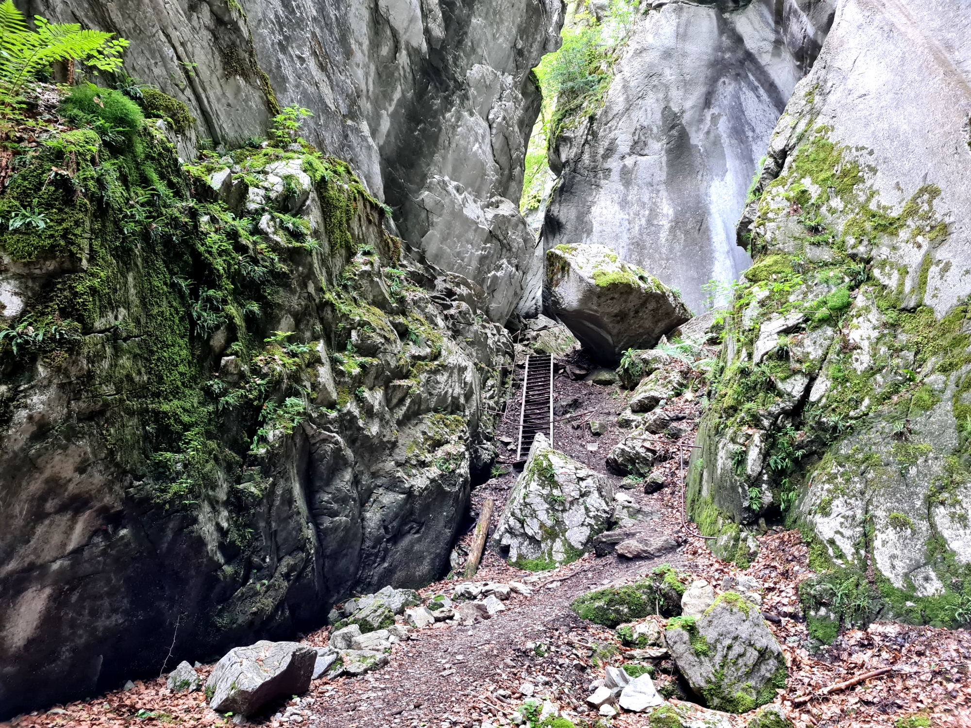 Grande Traversée des Alpes Teil 2: Anciennes Gorges des Tines