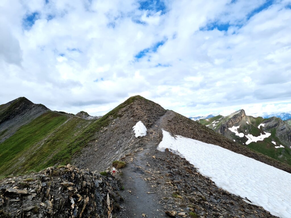 Grande Traversée des Alpes Teil 3: Crête des Gittes