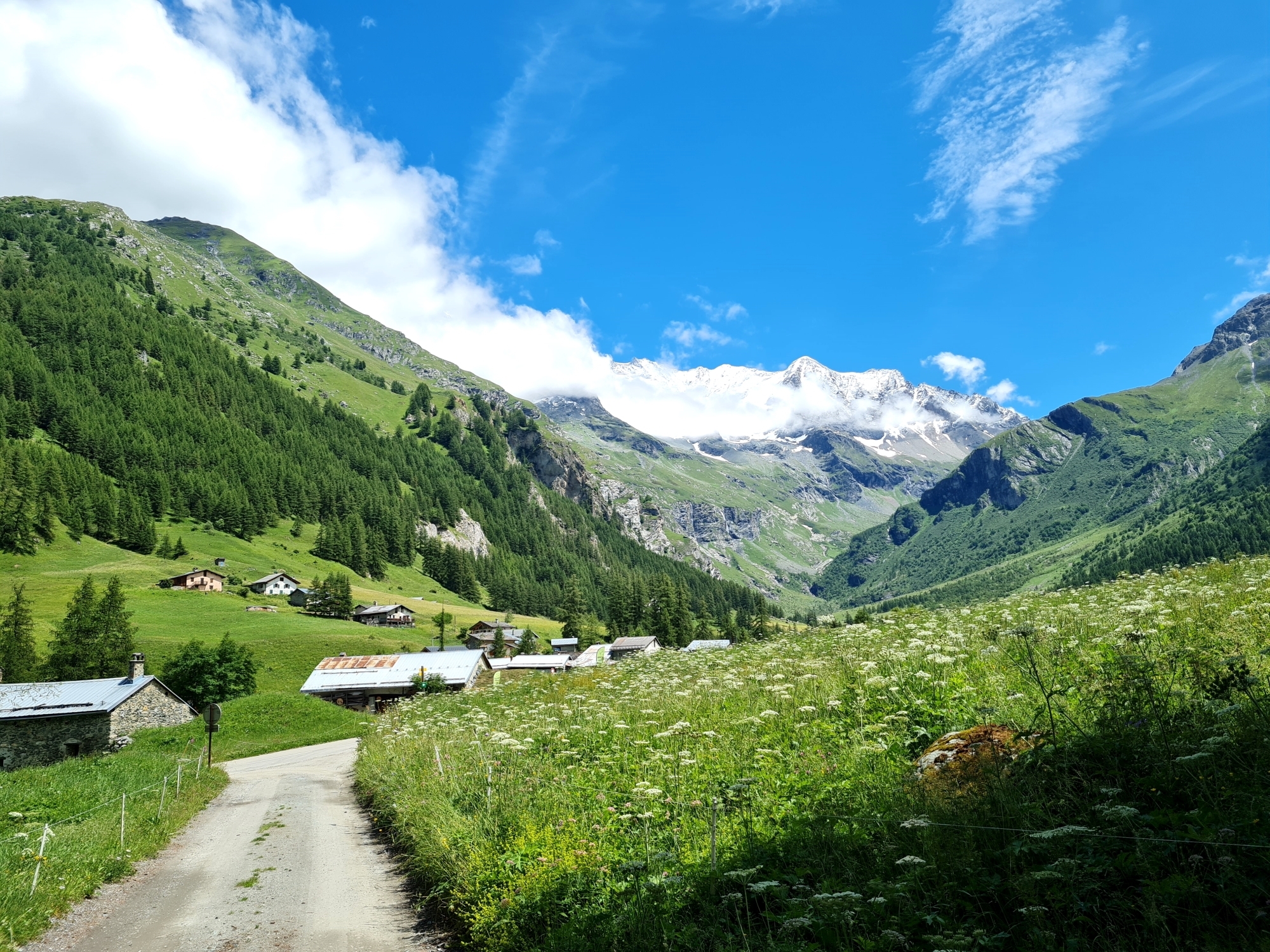 Grande Traversée des Alpes Teil 4: Blick auf das Vanoise-Massiv von les Lanches