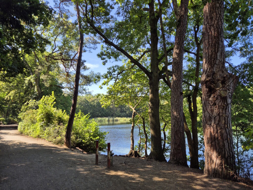 Grunewaldseenkette-Wanderung: Weg zum Südwestende des Schlachtensee