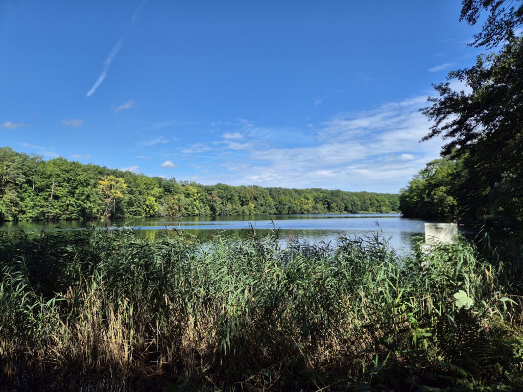 Grunewaldseenkette-Wanderung: Südwestende Schlachtensee