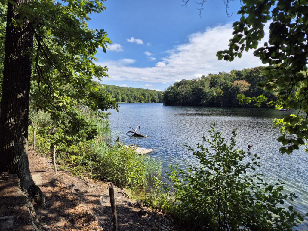 Grunewaldseenkette-Wanderung: Nordufer Schlachtensee