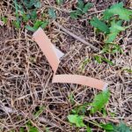 Hansaplast Fingerstrips im Langzeit-Test Hansaplast Fingerstrips im Test