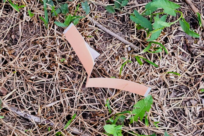 Hansaplast Fingerstrips im Test