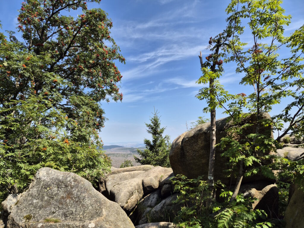 Harz-Wanderung über den Brocken: Herrmannsklippe