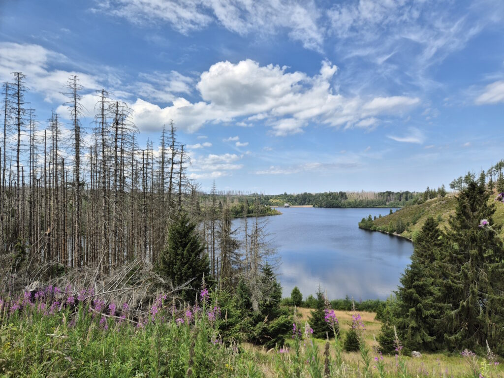 Harz-Wanderung über den Brocken: Eckertalsperre