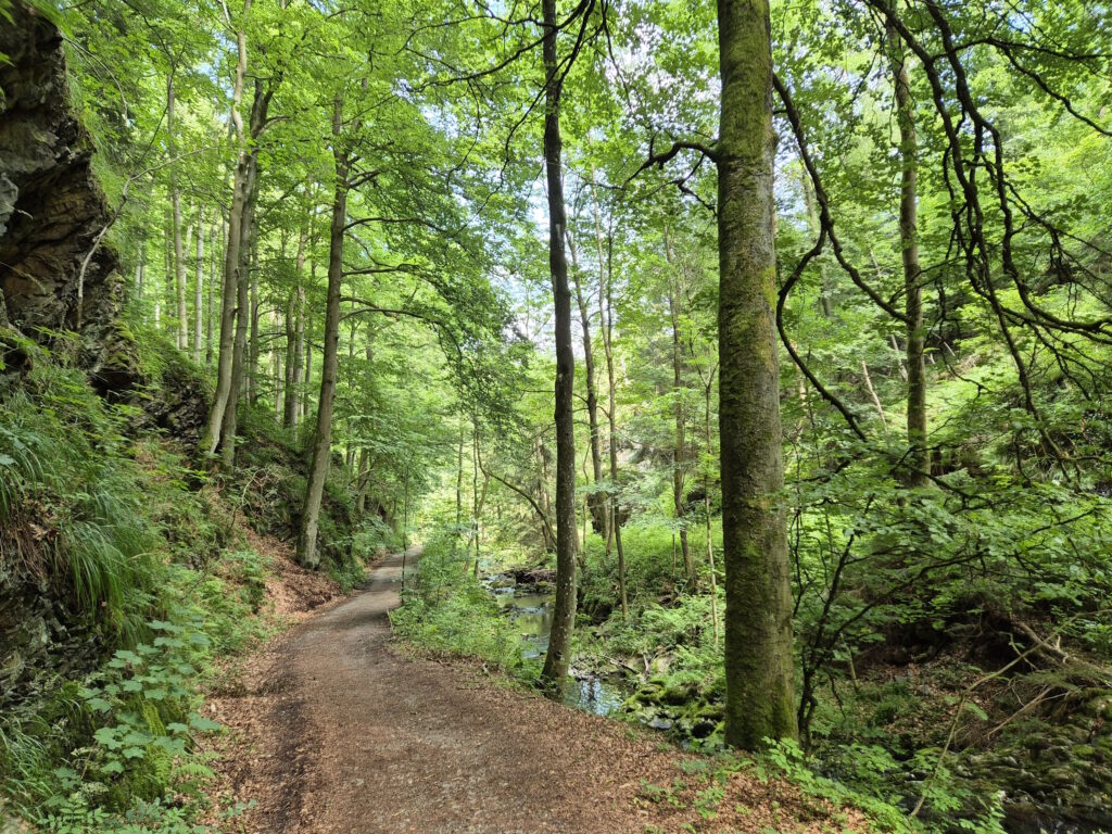 Harz-Wanderung über den Brocken: Hinzemutterhohl-Tal