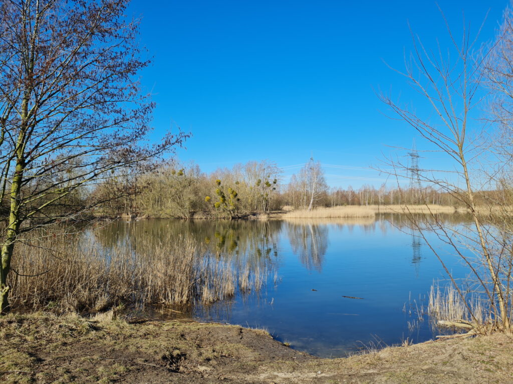 Havelkanal-Wanderung: Kiessee bei Brieselang