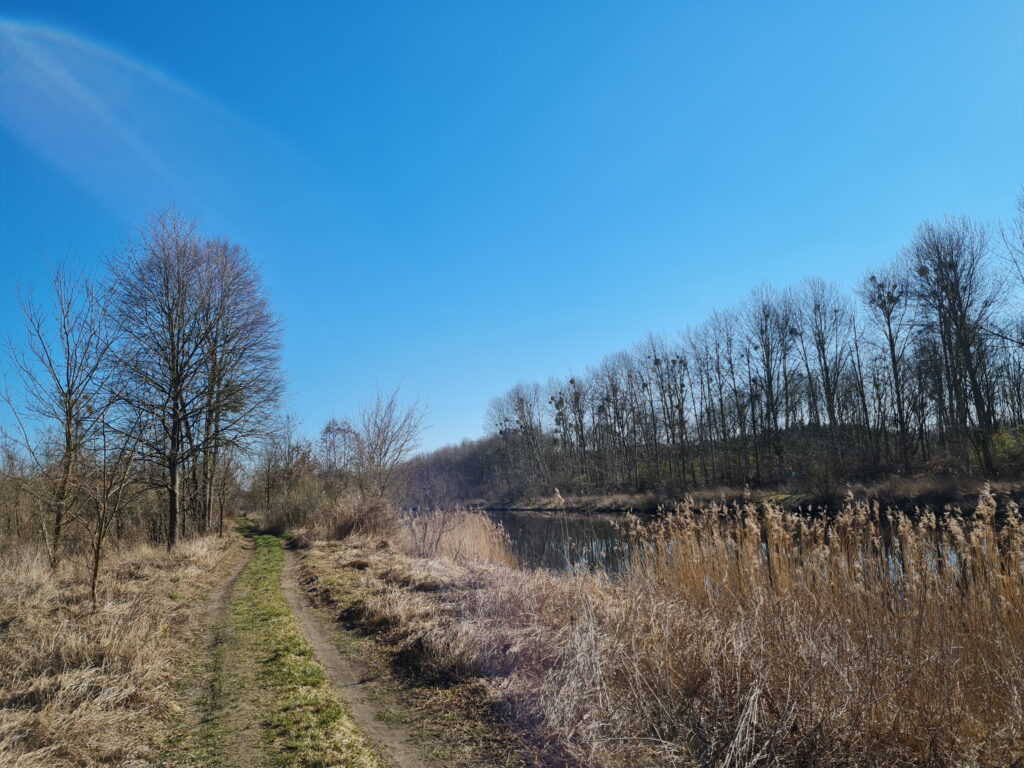 Havelkanal-Wanderung: Wildes Ufer bei Alt-Brieselang